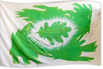 An example of simple custom banner design: healing leaf